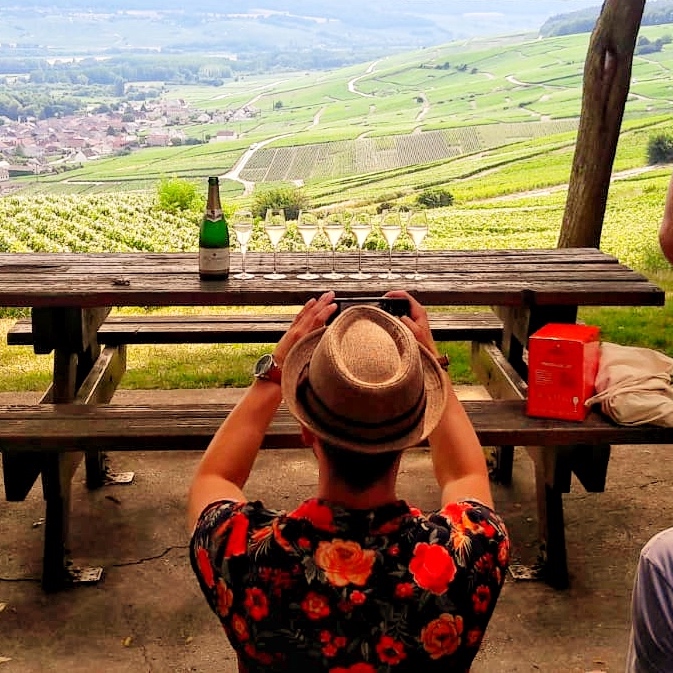 Tour de champagne panorâmico